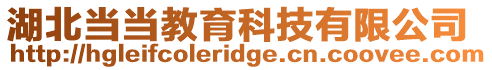 湖北當當教育科技有限公司