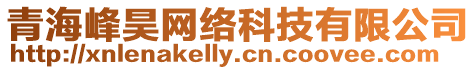 青海峰昊網絡科技有限公司