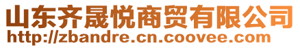 山東齊晟悅商貿有限公司