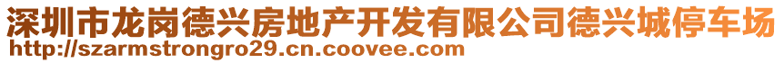 深圳市龍崗德興房地產(chǎn)開發(fā)有限公司德興城停車場(chǎng)