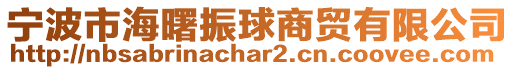 寧波市海曙振球商貿(mào)有限公司