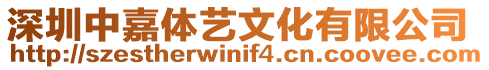 深圳中嘉體藝文化有限公司