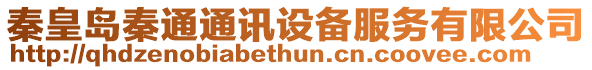 秦皇島秦通通訊設備服務有限公司