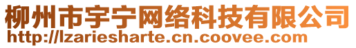 柳州市宇寧網絡科技有限公司