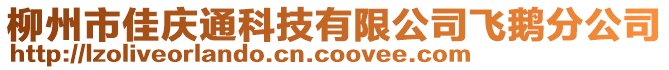 柳州市佳慶通科技有限公司飛鵝分公司
