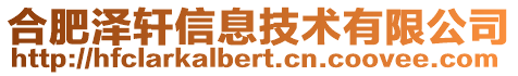 合肥澤軒信息技術有限公司