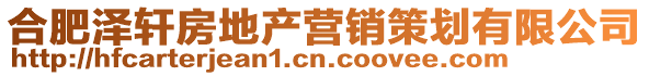 合肥澤軒房地產(chǎn)營(yíng)銷策劃有限公司