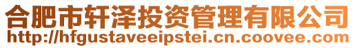 合肥市軒澤投資管理有限公司