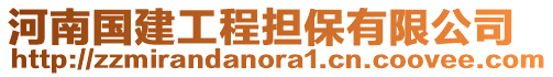 河南國(guó)建工程擔(dān)保有限公司