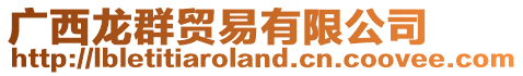 廣西龍群貿(mào)易有限公司