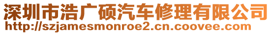 深圳市浩廣碩汽車修理有限公司