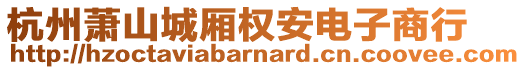 杭州蕭山城廂權(quán)安電子商行