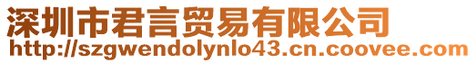 深圳市君言貿易有限公司