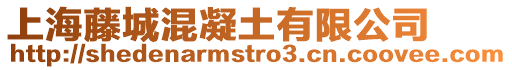 上海藤城混凝土有限公司