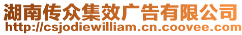 湖南傳眾集效廣告有限公司