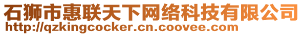 石獅市惠聯(lián)天下網(wǎng)絡(luò)科技有限公司