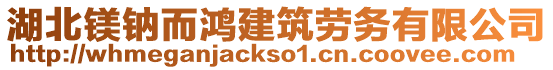 湖北鎂鈉而鴻建筑勞務有限公司