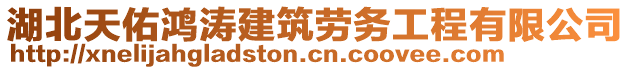 湖北天佑鴻濤建筑勞務工程有限公司