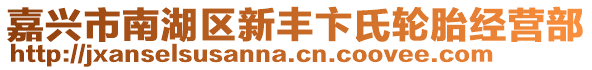 嘉興市南湖區新豐卞氏輪胎經營部