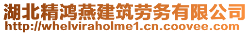 湖北精鴻燕建筑勞務(wù)有限公司