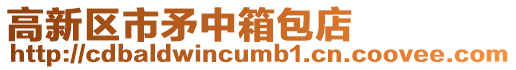 高新區市矛中箱包店