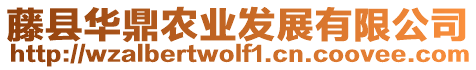 藤縣華鼎農(nóng)業(yè)發(fā)展有限公司