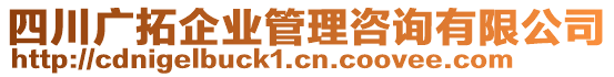 四川廣拓企業(yè)管理咨詢有限公司