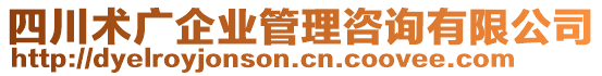 四川術(shù)廣企業(yè)管理咨詢(xún)有限公司