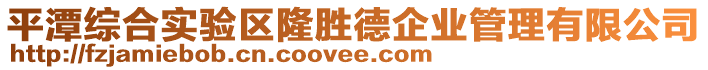 平潭綜合實(shí)驗(yàn)區(qū)隆勝德企業(yè)管理有限公司