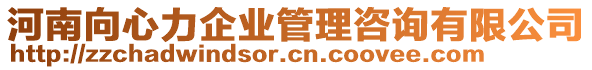 河南向心力企業(yè)管理咨詢有限公司