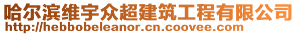 哈爾濱維宇眾超建筑工程有限公司