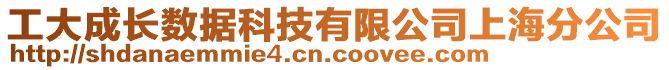 工大成長數(shù)據(jù)科技有限公司上海分公司