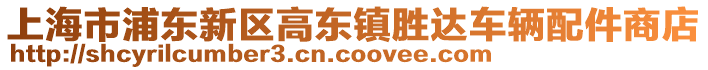 上海市浦東新區高東鎮勝達車輛配件商店