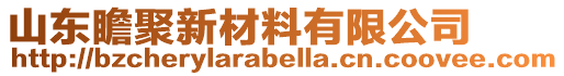 山東瞻聚新材料有限公司