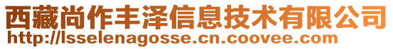 西藏尚作豐澤信息技術(shù)有限公司
