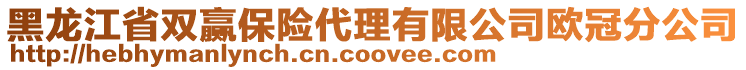 黑龍江省雙贏保險(xiǎn)代理有限公司歐冠分公司