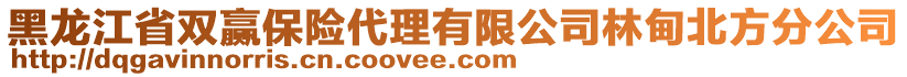 黑龍江省雙贏保險代理有限公司林甸北方分公司