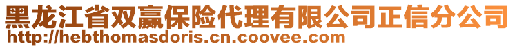 黑龍江省雙贏保險(xiǎn)代理有限公司正信分公司