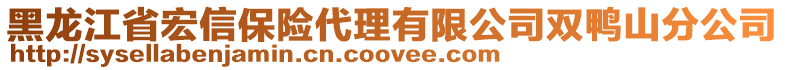 黑龍江省宏信保險代理有限公司雙鴨山分公司