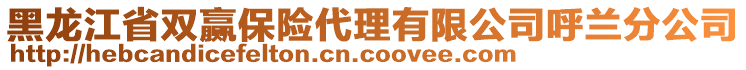 黑龍江省雙贏保險(xiǎn)代理有限公司呼蘭分公司