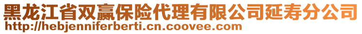 黑龍江省雙贏保險(xiǎn)代理有限公司延壽分公司