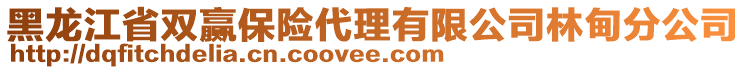 黑龍江省雙贏保險(xiǎn)代理有限公司林甸分公司