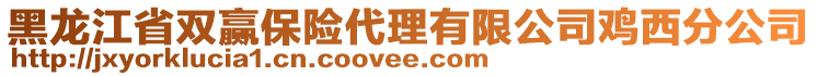 黑龍江省雙贏保險(xiǎn)代理有限公司雞西分公司