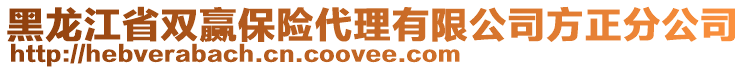 黑龍江省雙贏保險代理有限公司方正分公司