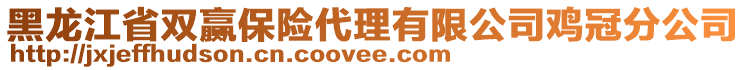 黑龍江省雙贏保險(xiǎn)代理有限公司雞冠分公司