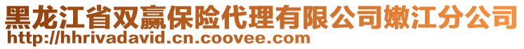 黑龍江省雙贏保險代理有限公司嫩江分公司