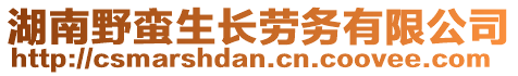 湖南野蠻生長(zhǎng)勞務(wù)有限公司