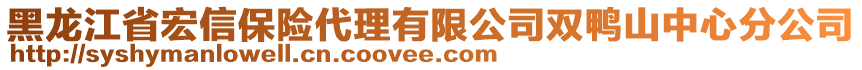 黑龍江省宏信保險代理有限公司雙鴨山中心分公司