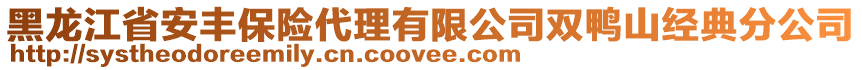 黑龍江省安豐保險代理有限公司雙鴨山經(jīng)典分公司