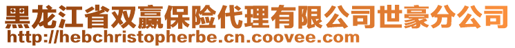 黑龍江省雙贏保險代理有限公司世豪分公司